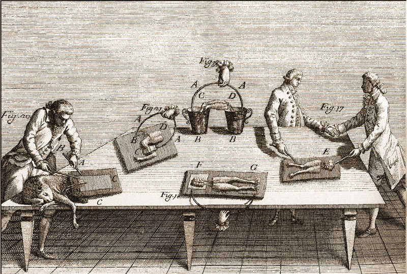 Il Comitato